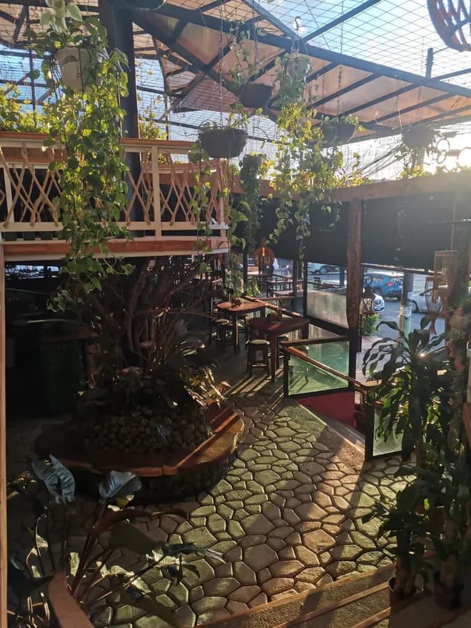 Patio interior de día: un árbol dentro de una jardinera de madera, plantas colgando de la estructura del techo, el balcón curvo del segundo piso con baranda de cuerda y mesas de madera sobre el piso de piedra.